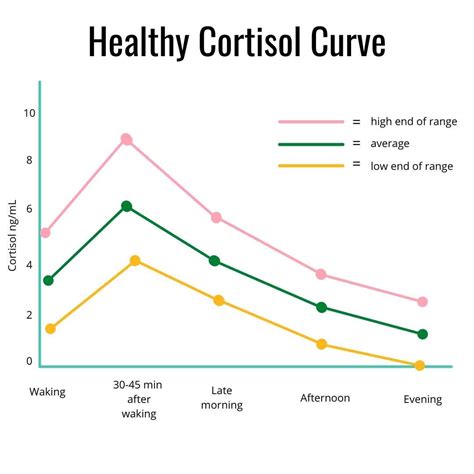 5 Natural Ways to Lower Cortisol | Top Foods that Lower Cortisol | Future of Mushrooms