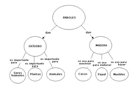 Diferencia entre esquema y mapa conceptual ¡Fotos & Guía 2024!