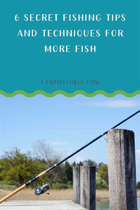 6 Secret Fishing Tips and Techniques For More Fish | Camping Tips From ...