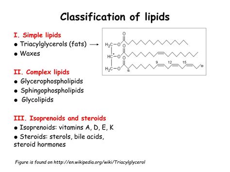 Lipid Wikipedia, 47% OFF | www.oceanproperty.co.th