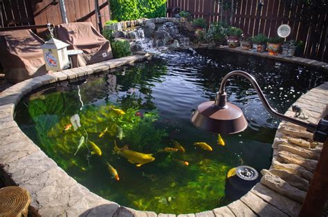 17 Cool DIY Koi Pond Ideas For Your Backyard - Home And Gardening Ideas