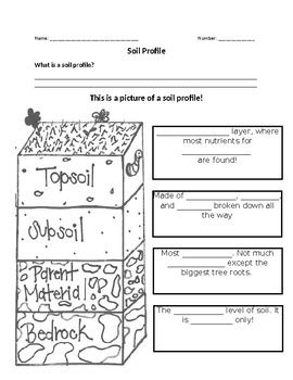 Soil Profile by Everlasting Education | TPT