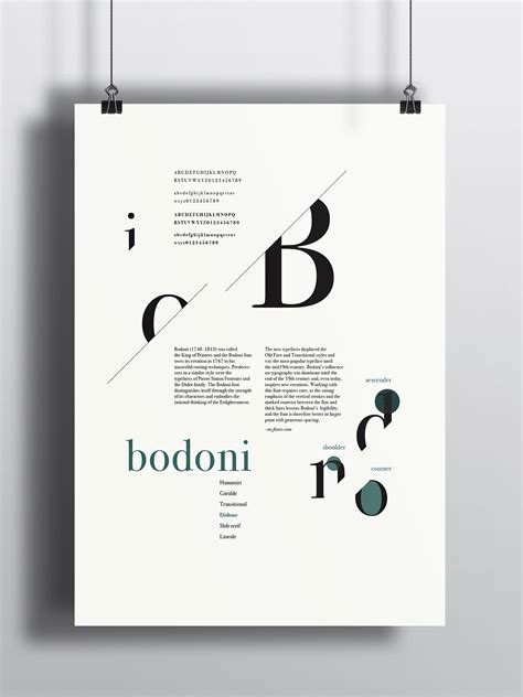 Type Anatomy Poster Series on Behance