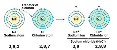 Sodium Chloride Electron Configuration - vrogue.co