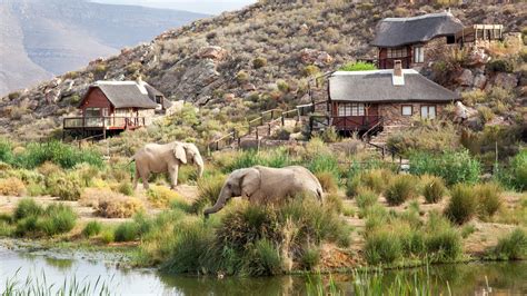 4 Safari Destinations in South Africa You Can Get to from Cape Town ...