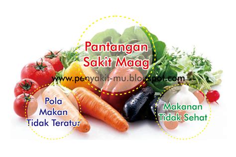 Pantangan Sakit Maag Adalah Pola Makan Yang Tidak Teratur