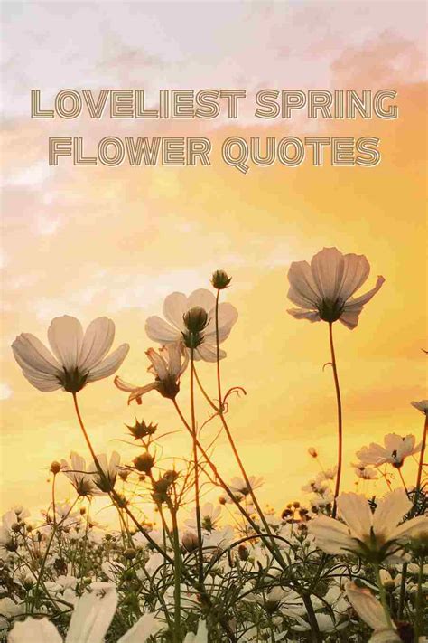 75 Loveliest Spring Flower Quotes - Darling Quote