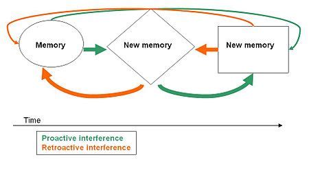 The Process of Forgetting | Boundless Psychology