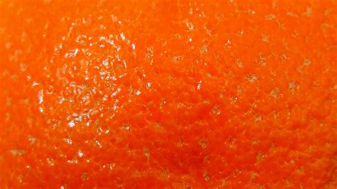 Orange peel,orange,sweet,fruity,fruit - free image from needpix.com