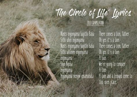 20 Beautiful African Words in 'The Lion King' That'll Make You Smile | African words, Lion king ...