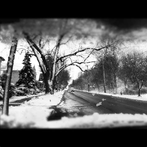 LOVELANEGRAVEYARD - winter wonderland