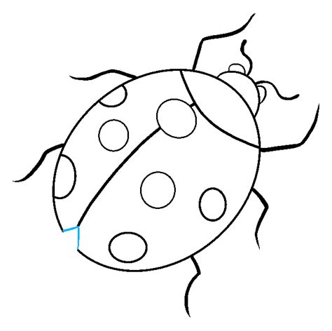 Ladybird Drawing Outline Ladybird Drawings Line Ladybug Clip Bodewasude | The Best Porn Website