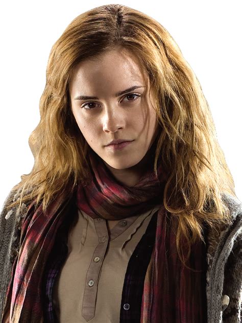 Hermione Granger Harry Potter Character