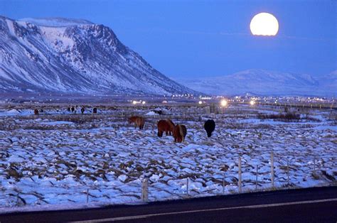 Selfoss (town) | Guide to Iceland