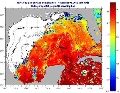 Water Temperature Gulf Of Mexico Map - Map