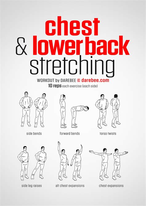 Chest & Lower Back Workout