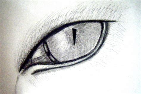 Cat eye sketch by izzycapricorn on DeviantArt