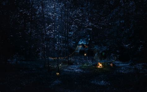 cabin, Forest, Night, Campfire Wallpapers HD / Desktop and Mobile Backgrounds