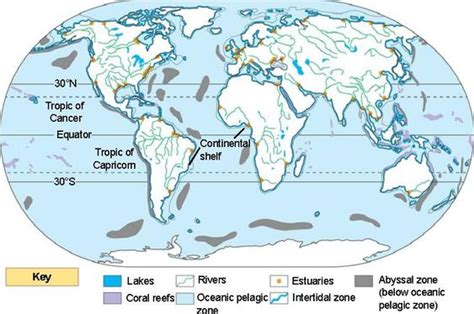 Aquatic Biomes - Biomes of the world pd. 2