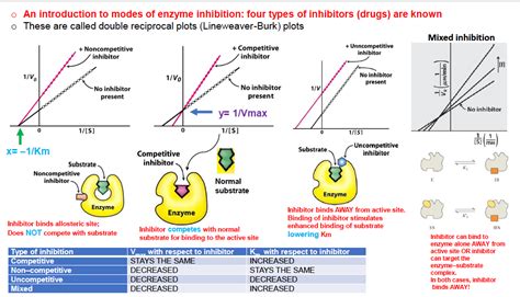 o An introduction to modes of enzyme inhibition: four | Chegg.com