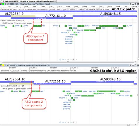 GenomeRef: GRCh38: Patching the ABO gene