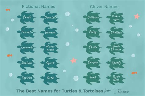 100 Names for Pet Turtles and Tortoises