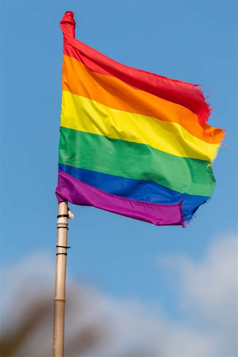 Rainbow Flag Free Stock Photo - Public Domain Pictures
