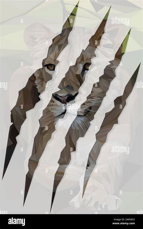 Lion claw marks hi-res stock photography and images - Alamy