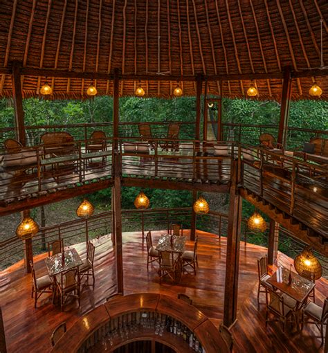 Amazon Treehouse lodge main house in Peru | Tree house, Treehouse hotel, Tree house resort