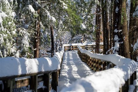 Cuyahoga Valley National Park in the Winter: Your Ultimate Guide