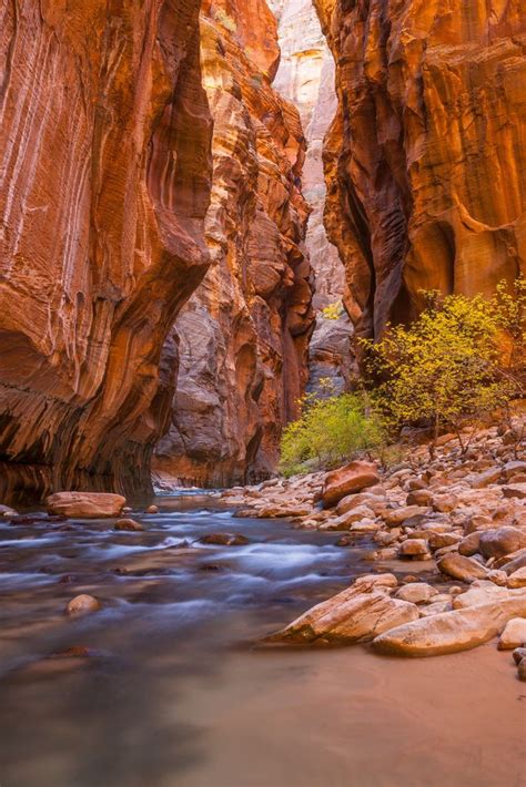 Hike the Narrows, Zion NP | Hiking the narrows, Utah hikes, The narrows zion