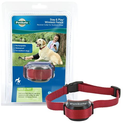 PetSafe Stubborn Dog Stay & Play Wireless Fence Receiver Collar ...