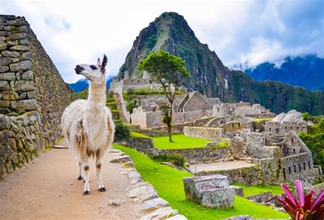 10 Reasons to Make Peru Your Next Vacation Destination - Travel IntelligenceTravel Intelligence