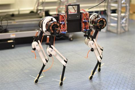 Creepy AI robot dog created with 'virtual spine' observed learning to ...