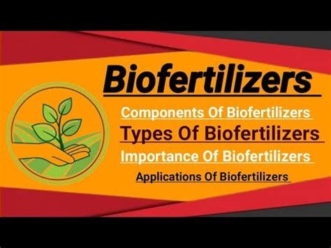 Biofertilizers/Examples/Types/Components/Advantages/Applications in urdu and Hindi Bs zoology ...