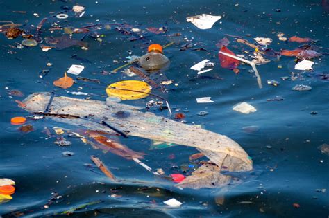 Can New Biodegradable Plastic Help Solve the Plastic Pollution Problem? - Advancing Materials