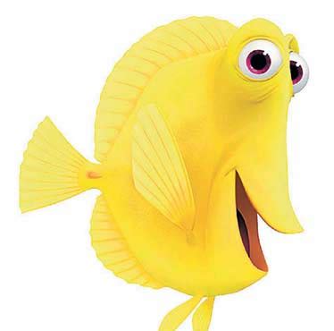 Yellow Tang Fish From Finding Nemo