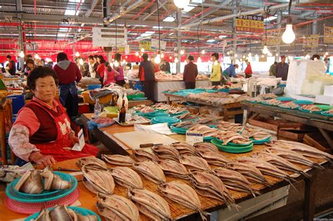 PHOTO: Fish Market in Jeju, South Korea - Susan Shain