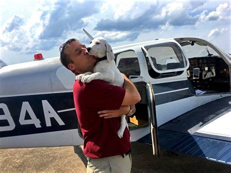 Pilot with plane and rescue dog in 2020 | Dog hero, Dogs, Animals