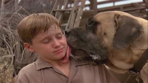 Tom Guiry as Scotty Smalls in 'The Sandlot' - Tom Guiry Image (24442970 ...