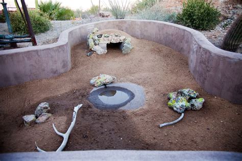 Desert Tortoise Habitat! My kids need a place like this, and by kids I ...