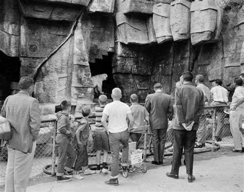 Griffith Park Zoo — The Great World Zoo That Never Was (1912-1966 ...