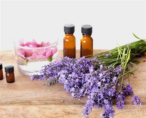 Lavender Oil Beauty Hacks For Skin Brightening And Tightening | 3 ways ...