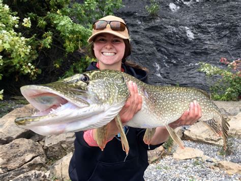 Congratulations to Lauren for catching this new World Record Northern Pike on a fly! We'd like ...