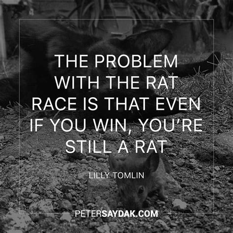 "The problem with the rat race is that even if you win youre still a rat." -Lilly Tomlin | Rat ...