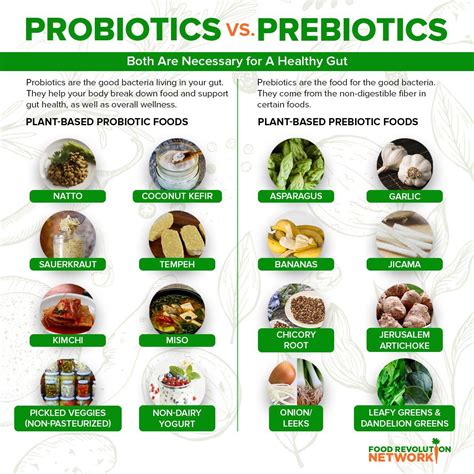 Why You Need Both Probiotics and Prebiotics for Good Gut Health and ...