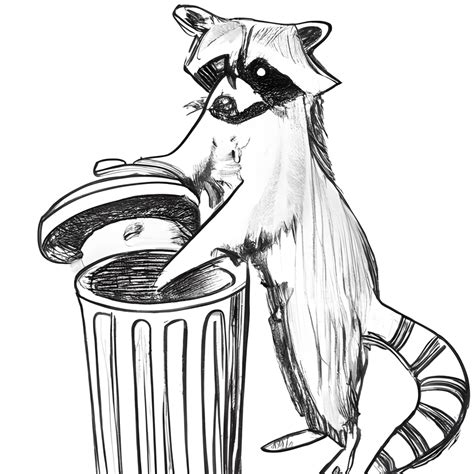 Raccoon Opening a Trash Can Drawing · Creative Fabrica