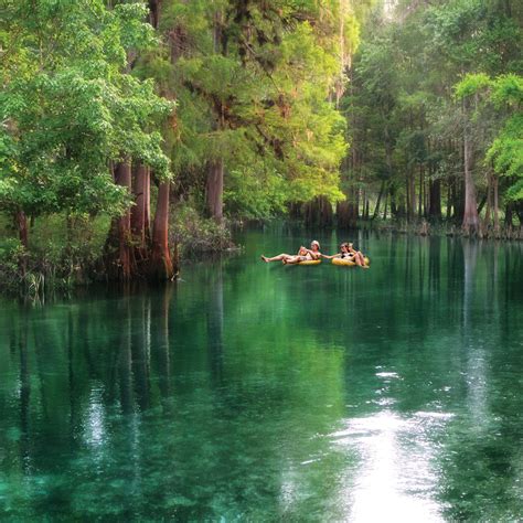 Your Guide to Tubing at Four of Florida's Coolest Springs | Sarasota ...