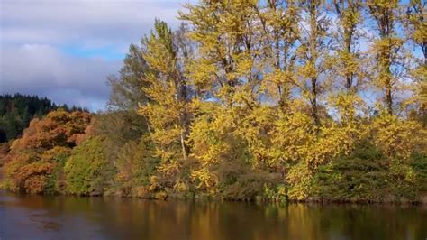 Autumn Leaves Fall Colors Perthshire Highlands Scotland - YouTube