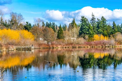 Moving to Lake Hills Bellevue? Here's What You Need to Know - Rexmont